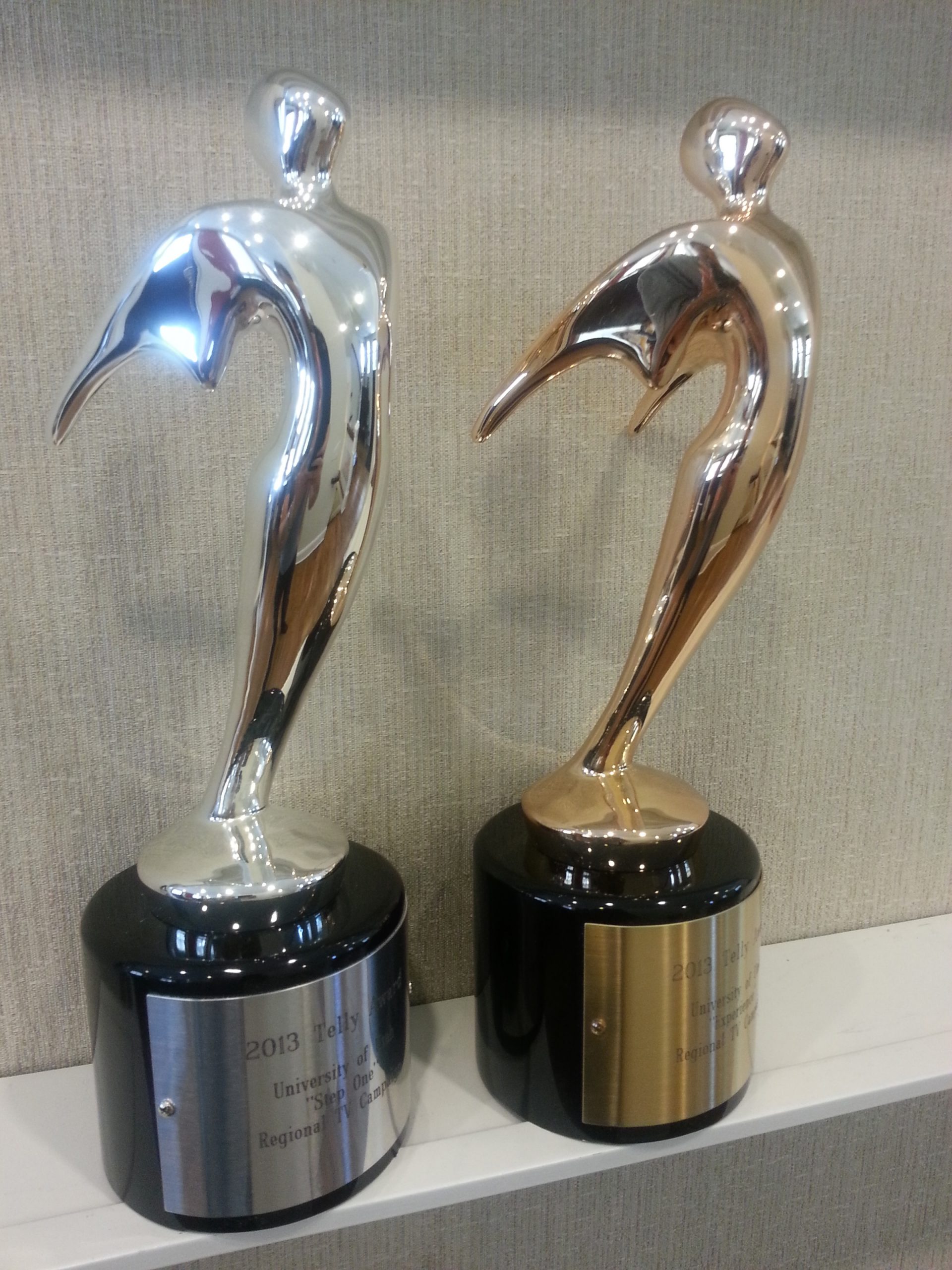 2013 Silver and Bronze Telly Awards.