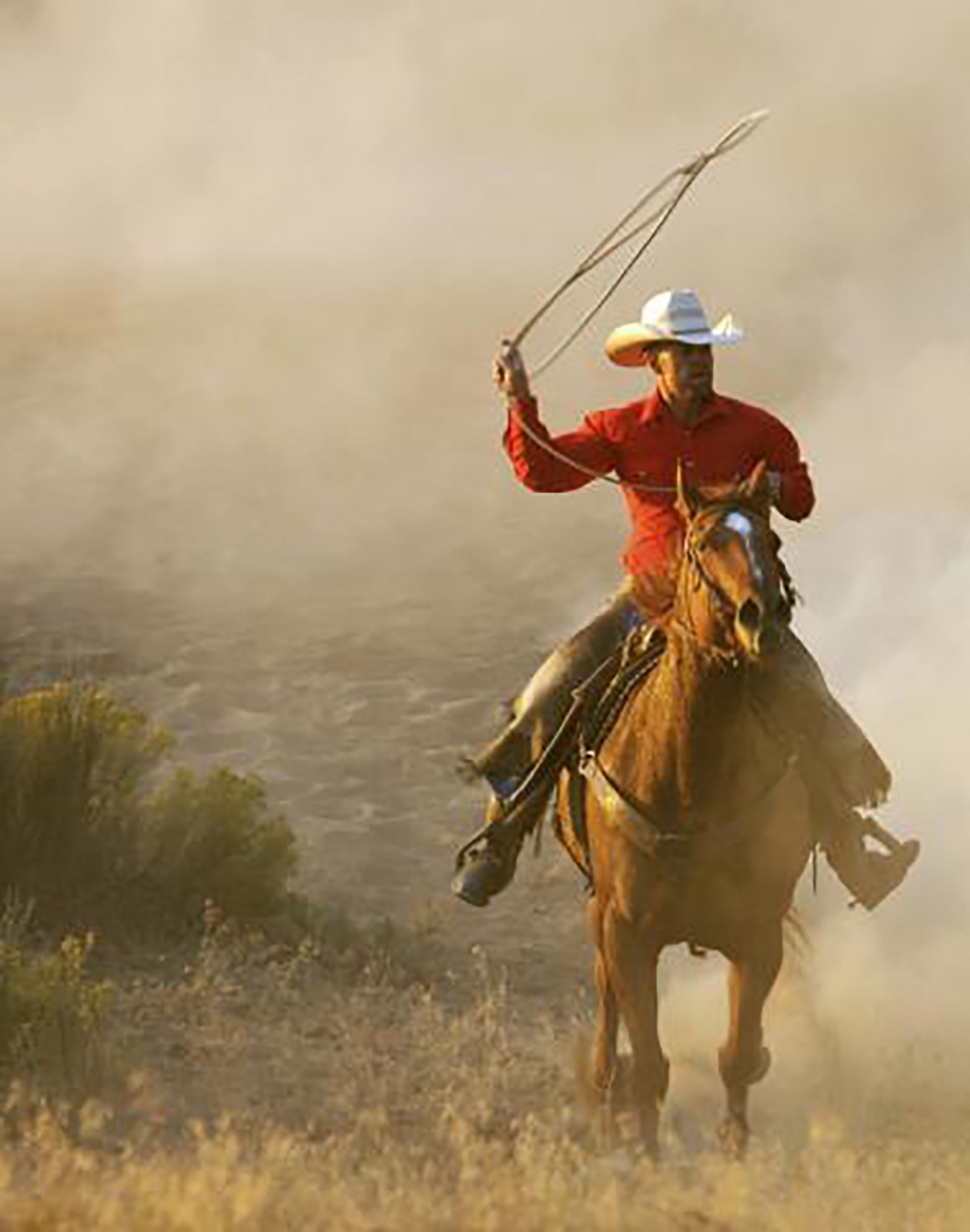 Horse and cowboy rider.