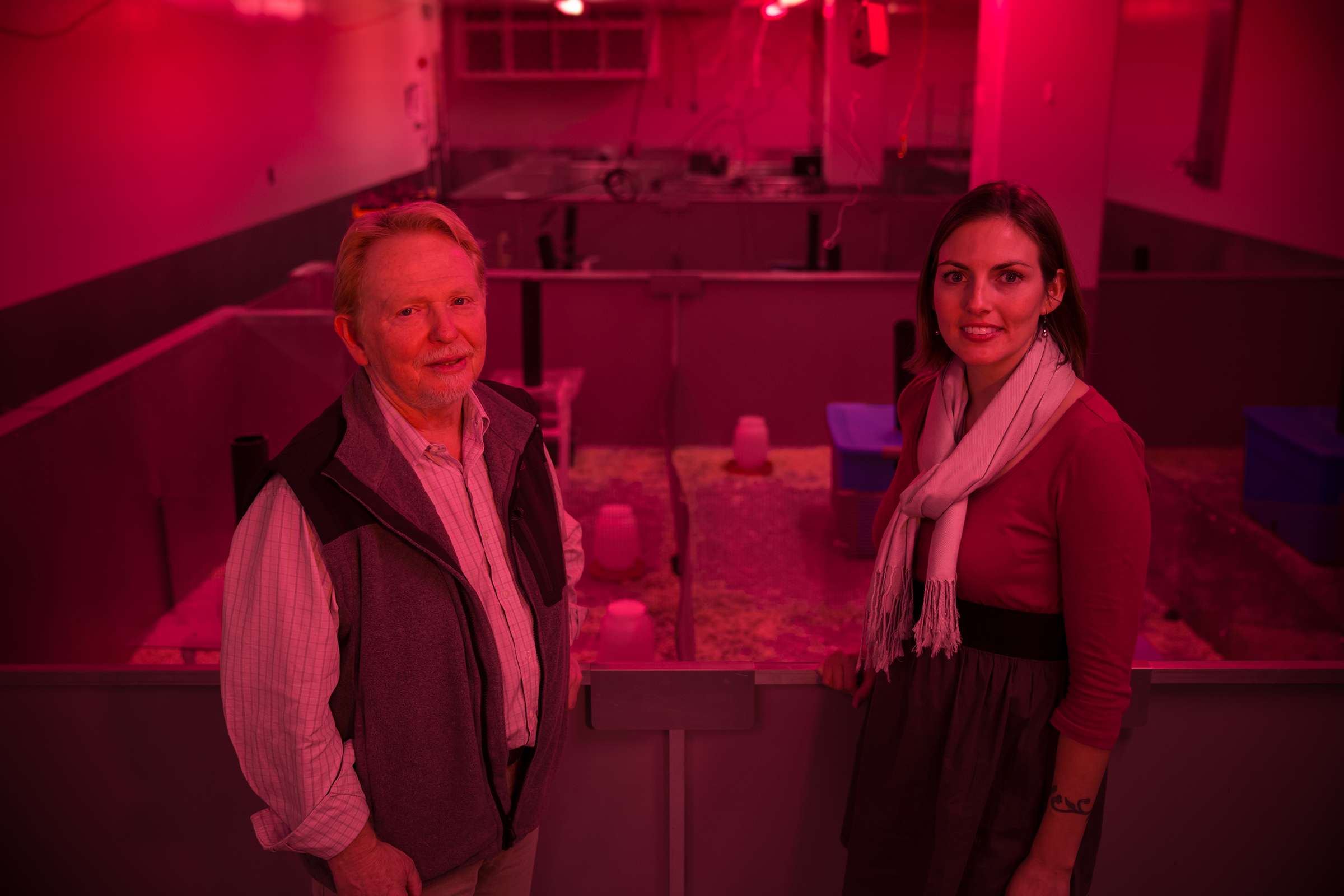 A University of Utah test detects hidden toxic effects by subjecting mice to competition for resources. University of Utah biology professor Wayne K. Potts and biologist Shannon M. Gaukler, who recently completed a doctoral degree at the U, stand in front of the test enclosure, illuminated in red light that mice perceive as nightfall.