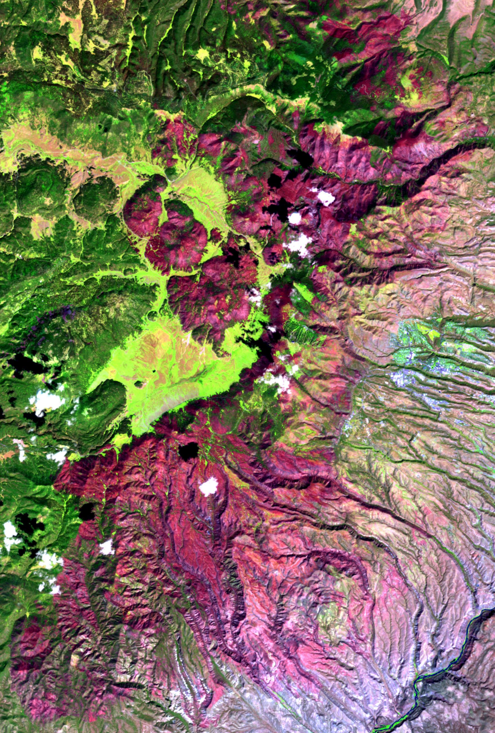 A satellite image of the 2011 Las Conchas Fire in New Mexico shows the 150,874 acres burned in magenta and the unburned areas in green. This image was created with data from the Monitoring Trends in Burn Severity (MTBS) Project that the authors of a new study, led by the University of Utah geographer Phil Dennison, used to measure large wildfires in the western United States.