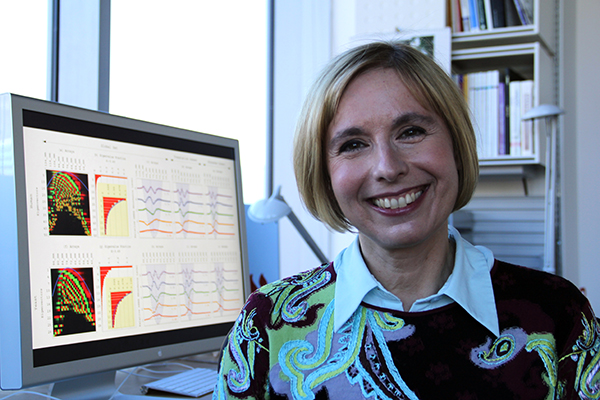 In her Genomic Signal Processing Lab, Alter develops new mathematical techniques, inspired by theoretical physics, for finding patterns in data.