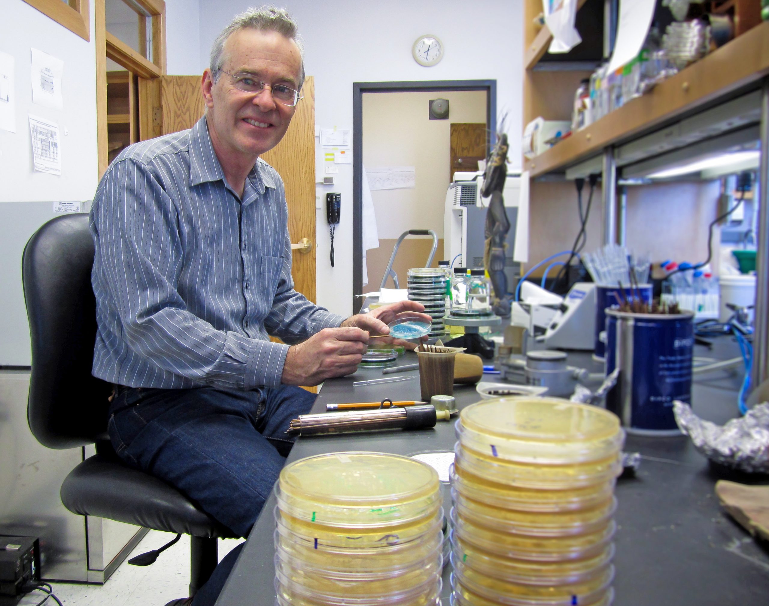 Biology professor Kelly Hughes in his University of Utah lab. He is senior author of a new study showing that salmonella bacteria – like plague and certain other disease-causing bacteria – use a molecular ruler or tape measure to determine the length of the bacterial “injectisomes,” which are needles these bacteria use to inject infection-promoting proteins into target cells. The study, co-authored by doctoral student Daniel Wee, has potential long-term applications for new antibiotics and targeted anticancer drugs, and for helping people design machines at the nanoscopic or molecular scale.