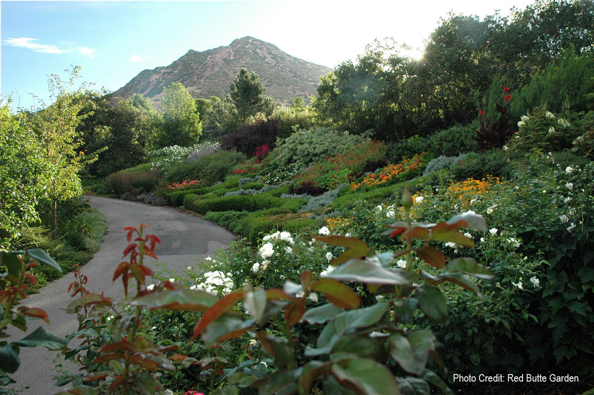 Trail at Red Butte Garden