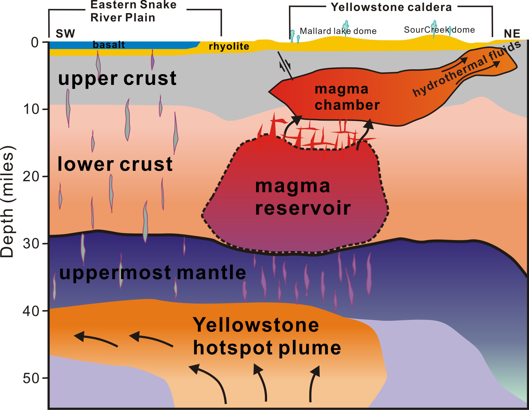 A new University of Utah study in the journal Science provides the first complete view of the plumbing system that supplies hot and partly molten rock from the Yellowstone hotspot to the Yellowstone supervolcano. The study revealed a gigantic magma reservoir beneath the previously known magma chamber. This cross-section illustration cutting southwest-northeast under Yelowstone depicts the view revealed by seismic imaging. Seismologists say new techniques have provided a better view of Yellowstone’s plumbing system, and that the supervolcano hasn’t grown larger or closer to erupting. They estimate the annual chance of a Yellowstone supervolcano eruption is 1 in 700,000.