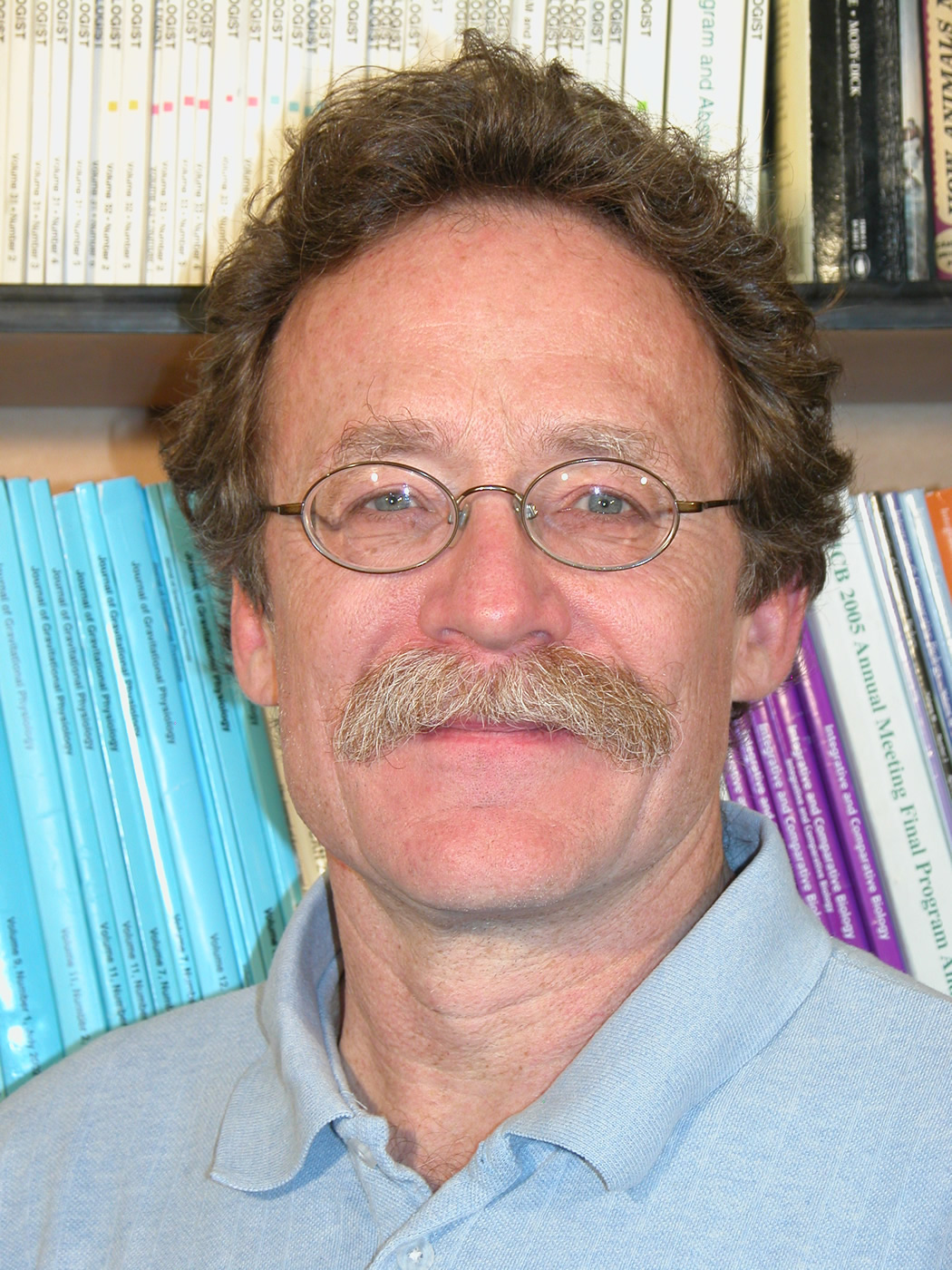 University of Utah biology Professor David Carrier's new study concludes that human ancestors known as australopiths retained short legs during their 2-million-year history because a short, squat stature helped spell victory in male-male fights over females.