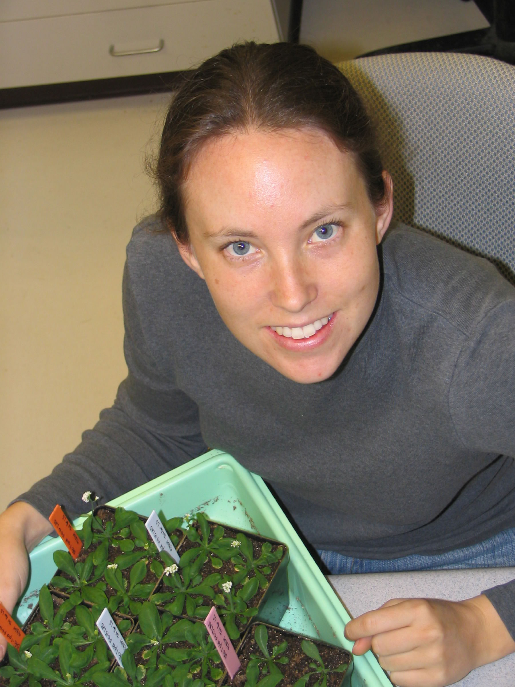 Jaimie Van Norman, a University of Utah graduate student in biology, helped discover a gene that plant roots use to control leaf growth.