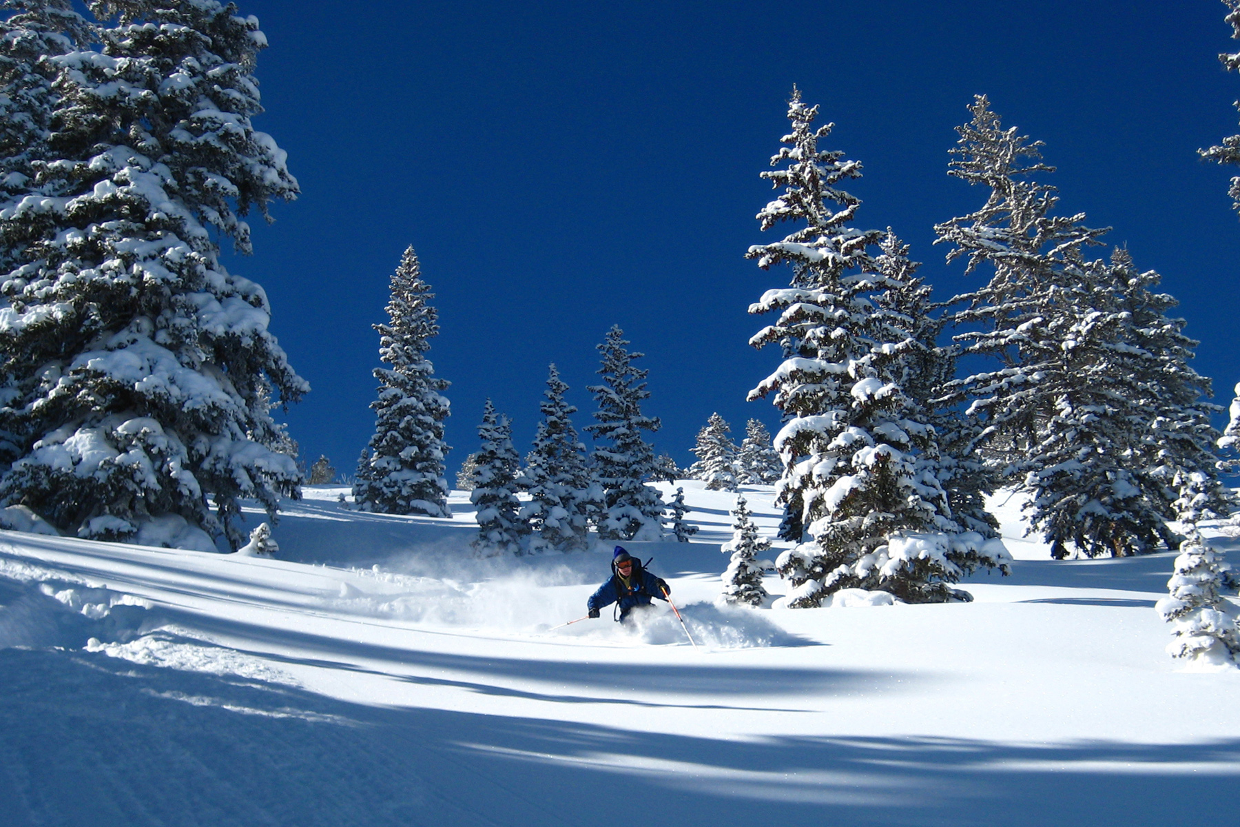 Jim Steenburgh, professor and chair of atmospheric sciences at the University of Utah, skis through powder snow in Days Fork in the Wasatch Range backcountry near Alta, Utah. Steenburgh and one of his students, Trevor Alcott, developed a new simple method to predict snow density -- whether fresh snow is powdery or wet and heavy -- and thus snowfall amounts. The National Weather Service is using the method in its Utah forecasts, and the technique could be adapted for use anywhere.