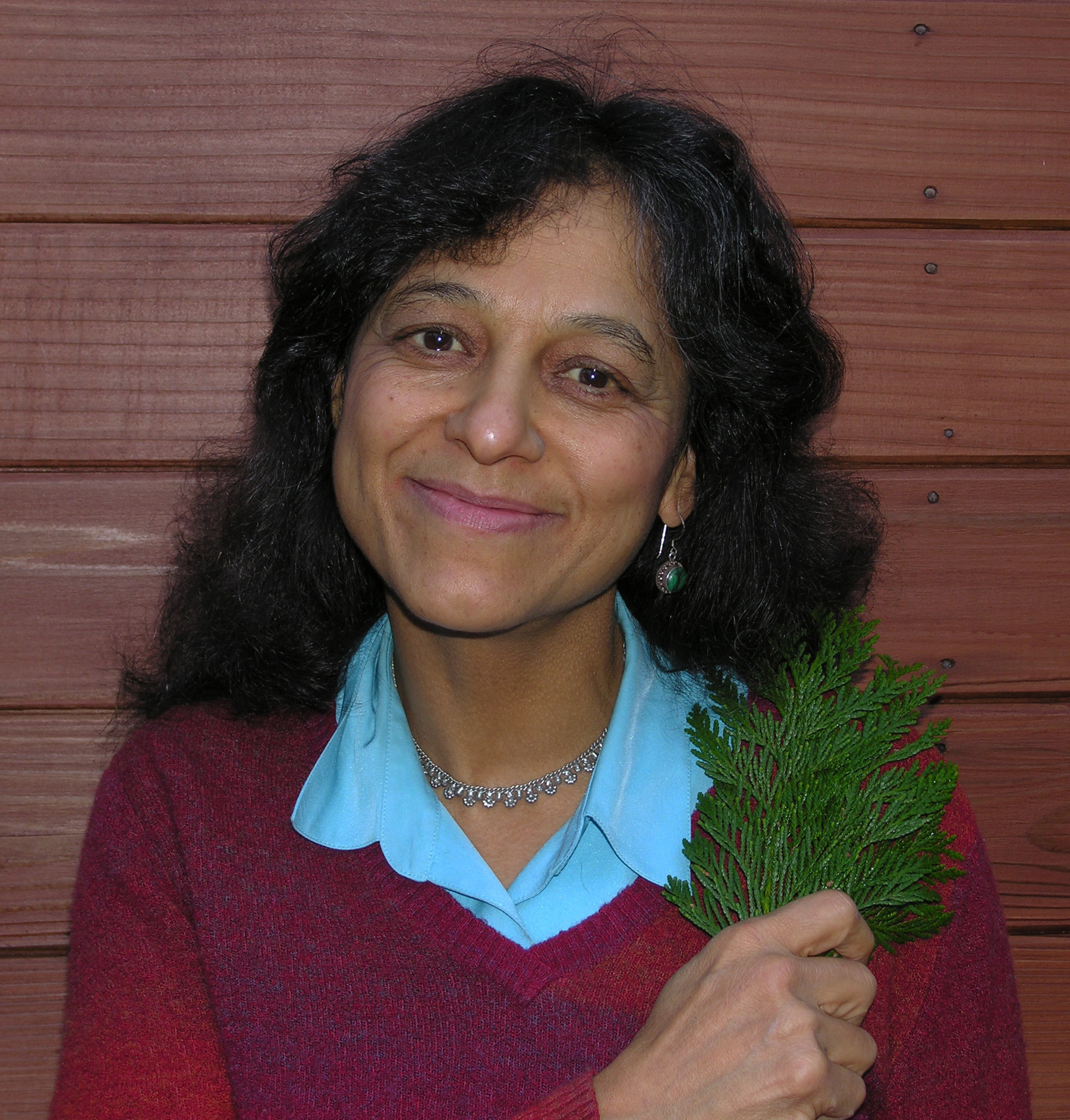 University of Utah biologist Nalini Nadkarni has won a major award from the world’s largest general science society for her efforts to involve the public in science.