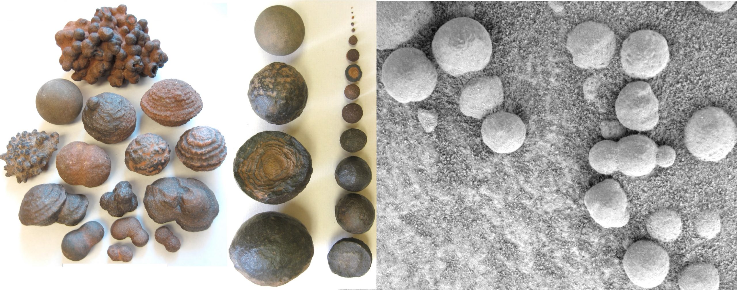 University of Utah geologists say marble-shaped rocks known as concretions from Utah (left) formed millions of years ago in groundwater-soaked rocks, providing clues to the origin of similar concretions or so-called "blueberries" (right) discovered on Mars by NASA's Opportunity rover. The Utah concretions shown on the left range in diameter from one twenty-fifth of an inch to 2 inches, while the Martian versions on the right all measure less than one-fifth of an inch in diameter. (Scale of photos is different.)