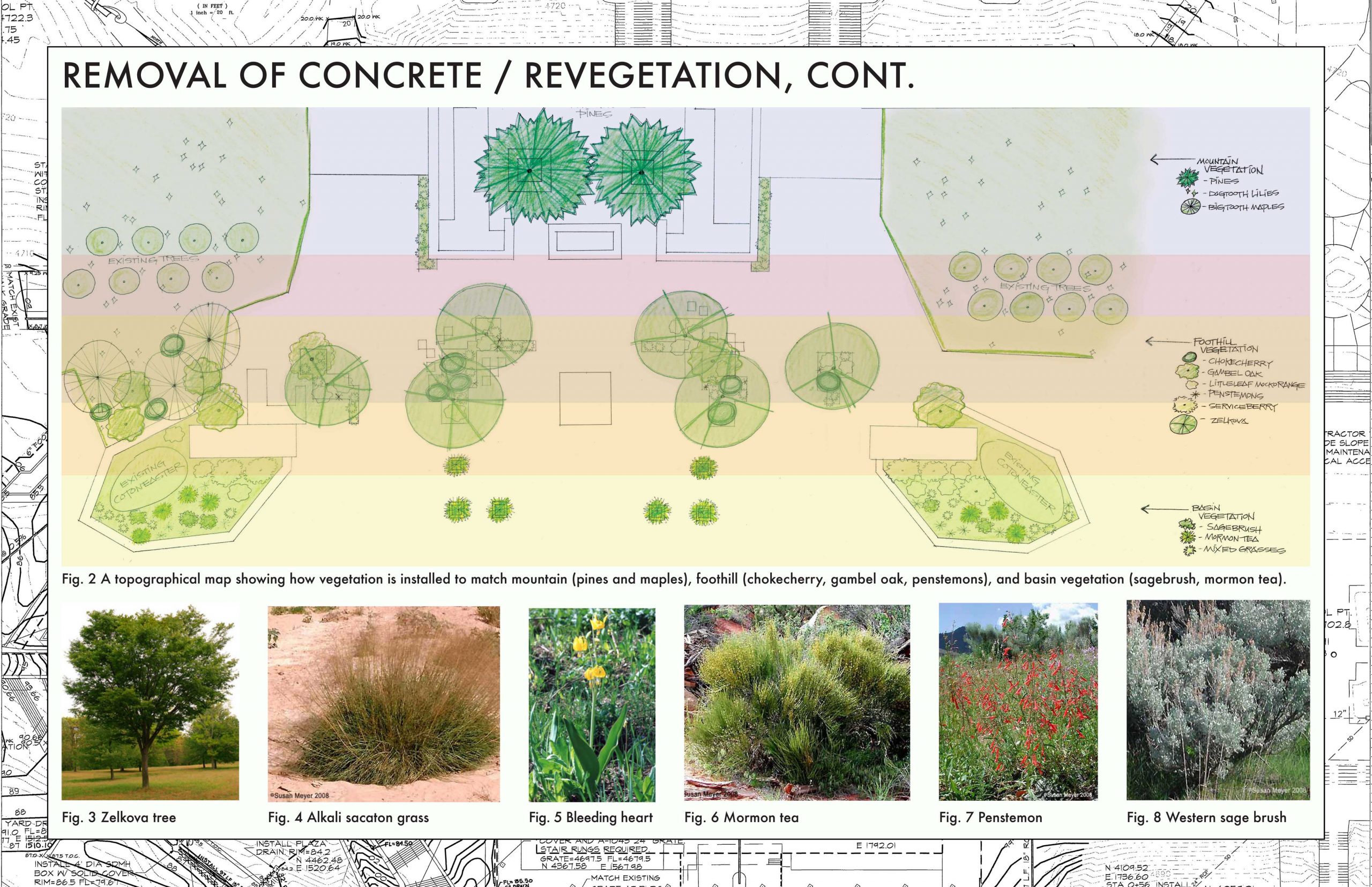 This is the artists' rendering of the proposed redesign of Library Plaza, just east of the Marriott Library at the U of U. The Re-imagine the Plaza project is an environmentally-centered student effort resulting from the 2010 senior class gift. Among the green initiatives proposed in the redesign are the removal of 600 square feet of concrete and construction of flower beds that will hold native Utah plants. A groundbreaking will be held on Earth Day, Friday, April 22 at 12:45 p.m. on site.