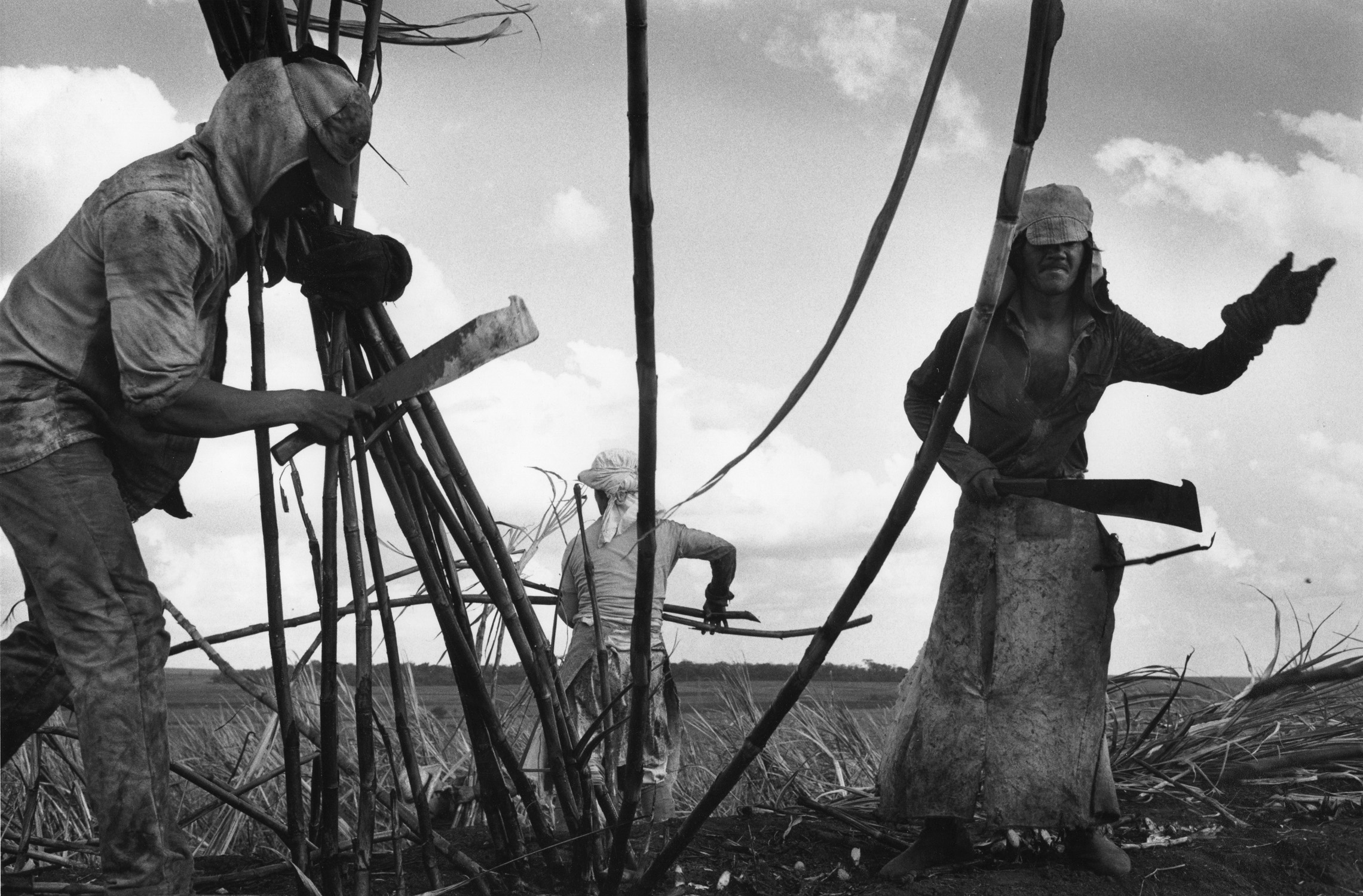 Sebasti?o Salgado, "Sugar-cane Plantations", 1987. gelatin silver print