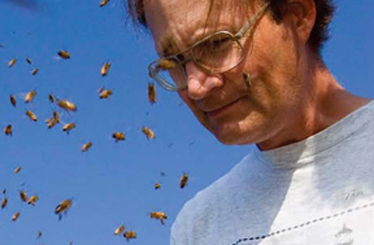 Thomas Seeley, bee biologist and author of Honeybee Democracy, will keynote the sixth annual Utah Science and Literature Symposium at the University of Utah on March 5th at 7:00 p.m. The Symposium “A Bird in the Hand: Our choices, good and bad, and how we make them” continues through Friday March 7th.