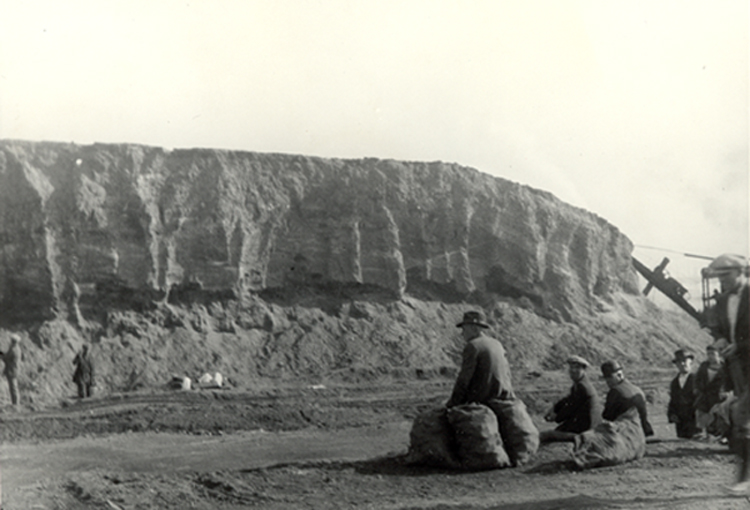 This vintage photo shows a steam shovel demolishing of Emeryville, Calif., shellmound in 1924 to make way for a paint factory. University of Utah archaeologist Jack Broughton analyzed 5,736 bird bones from the ancient Native American garbage dump to demonstrate that California was not always abundant in wildlife as it was when settlers arrived, but that ancient native people hunted some bird species to local extinction.