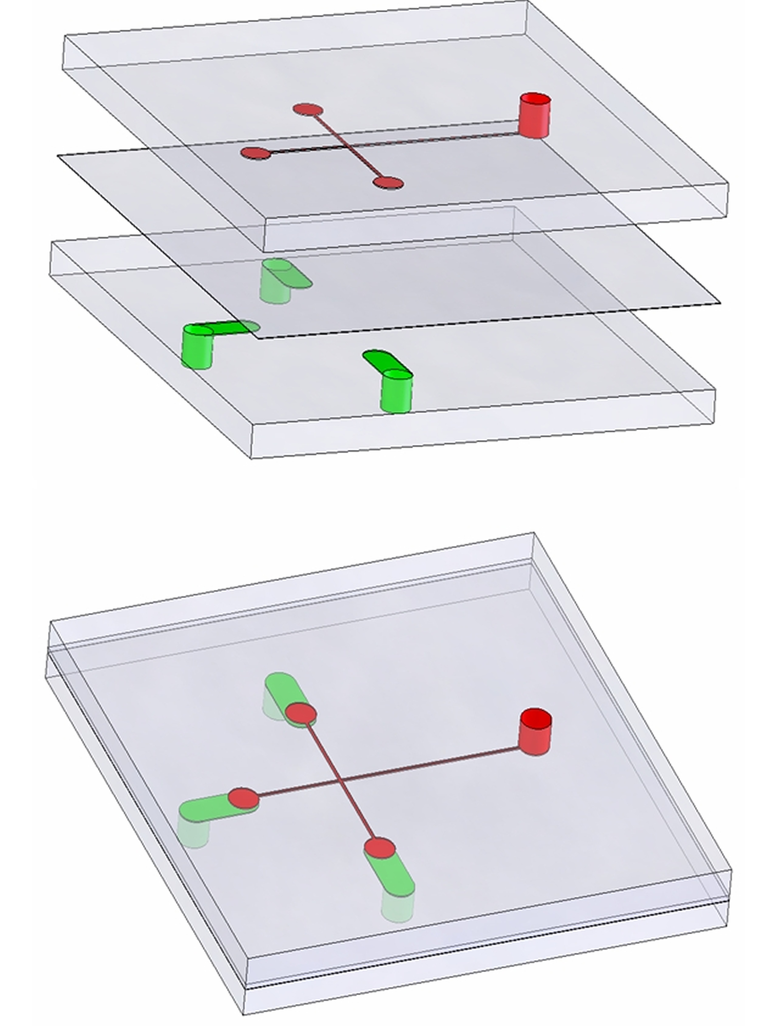 A new micropump developed at the University of Utah is made of three layers (upper illustration) of PDMS, a material similar to clear silicone bathtub caulk. The middle layer is thin. Air can pass through it but not liquid. The assembled pump (lower illustration) would be part of a credit-card-sized lab-on-a-chip to make medical lab tests faster and less expensive. In this example, a blood sample is placed in an open well in the top layer (red cylinder on right of both illustrations). A vacuum is applied to control channels in the bottom layer (green in both illustrations). The vacuum draws air through the middle layer, which pulls the blood from the well through hair-sized microchannels (red lines) and into test chambers (the three red circles), where the blood would mix with chemicals, antibodies or some other material needed for a test.