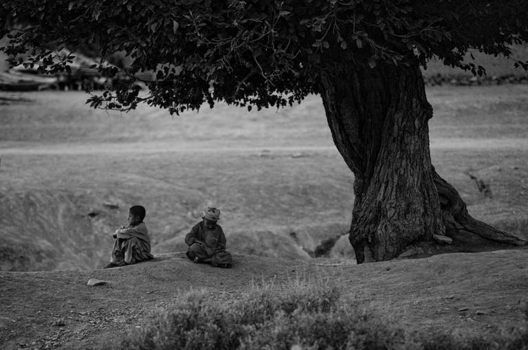 Young boys pass time under a tree as US and Afghan forces search their village in rural Afghanistan, 2007